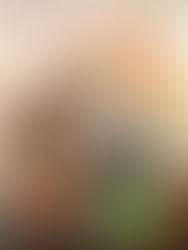 Review: Fated Blades by Ilona Andrews