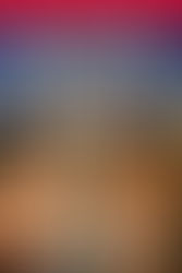 Review: Contractual Obligation by Tymber Dalton