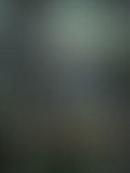 Review: Devouring Darkness by Chloe Neill