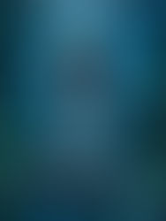 Review: Mooning over a Monster by Lauren Connolly