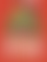 Blog Tour & Author Interview: Digging Up Love by Chandra Blumberg