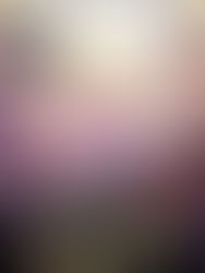 Review: The Threadbare Queen by Michelle Diener