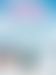 Blog Tour: The Wishing Bridge by Viola Shipman