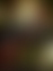 Review: Keeper of the King's Secrets by Michelle Diener