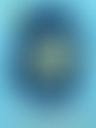 Review: Letter Late Than Never by Lauren Connolly