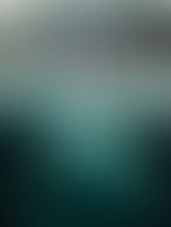 Surprise Cover Reveal: The Girl in the Mist by Kristen Ashley