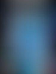 Blog Tour: Two Dead Wives by Adele Parks