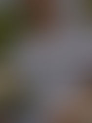 Blog Tour: Bittersweet Promises by Carrie Ann Ryan