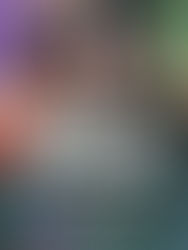 Blog Tour & Excerpt Missing at Christmas by KD Richards