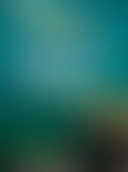 Review: Turbulent Waves by Ali Vali