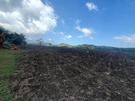 HCDF Farming programs (24).jpeg