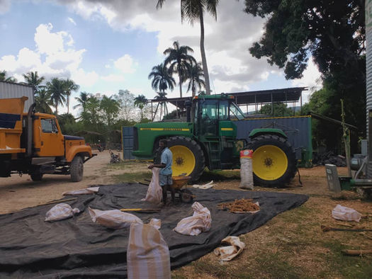 HCDF Farming programs (30).jpeg