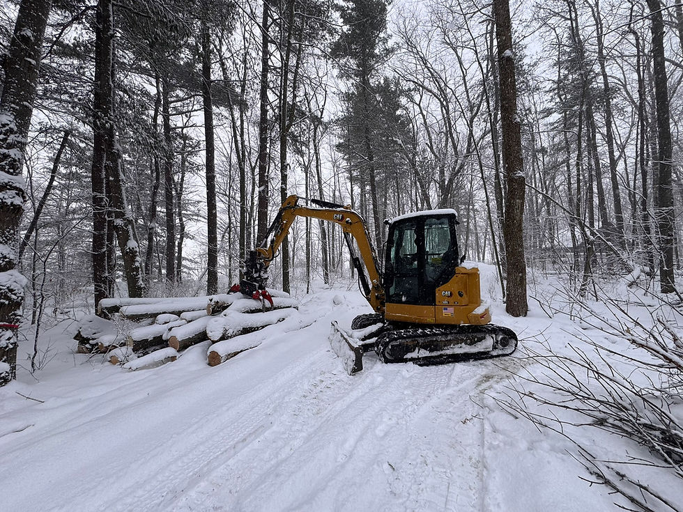 5E79C5F4-943F-400C-B437-62EA880014B7_1_102_o