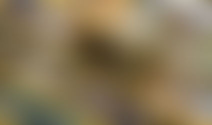 Looking for New Entertainment?