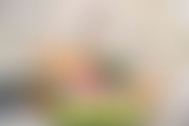 Dog with lots of fresh food and a green dog bowl