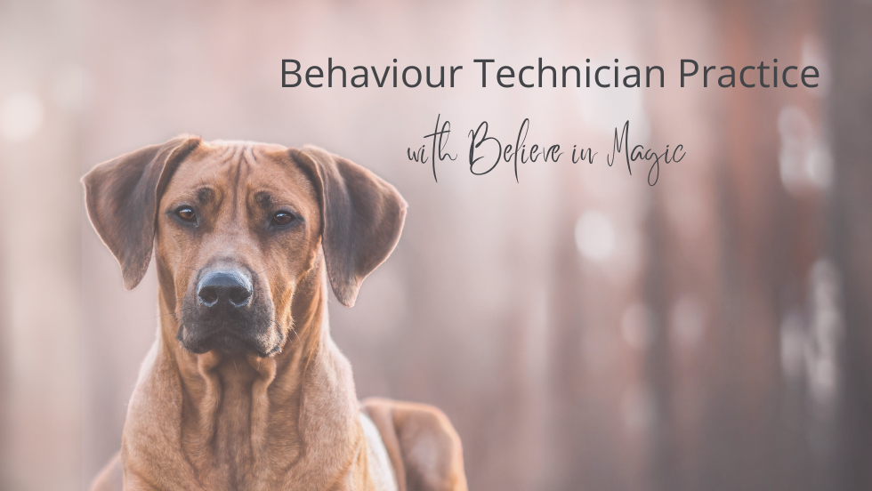 Applied Behaviour Technician Practice (2).png