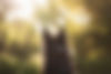 AdobeStock_793950037.jpeg