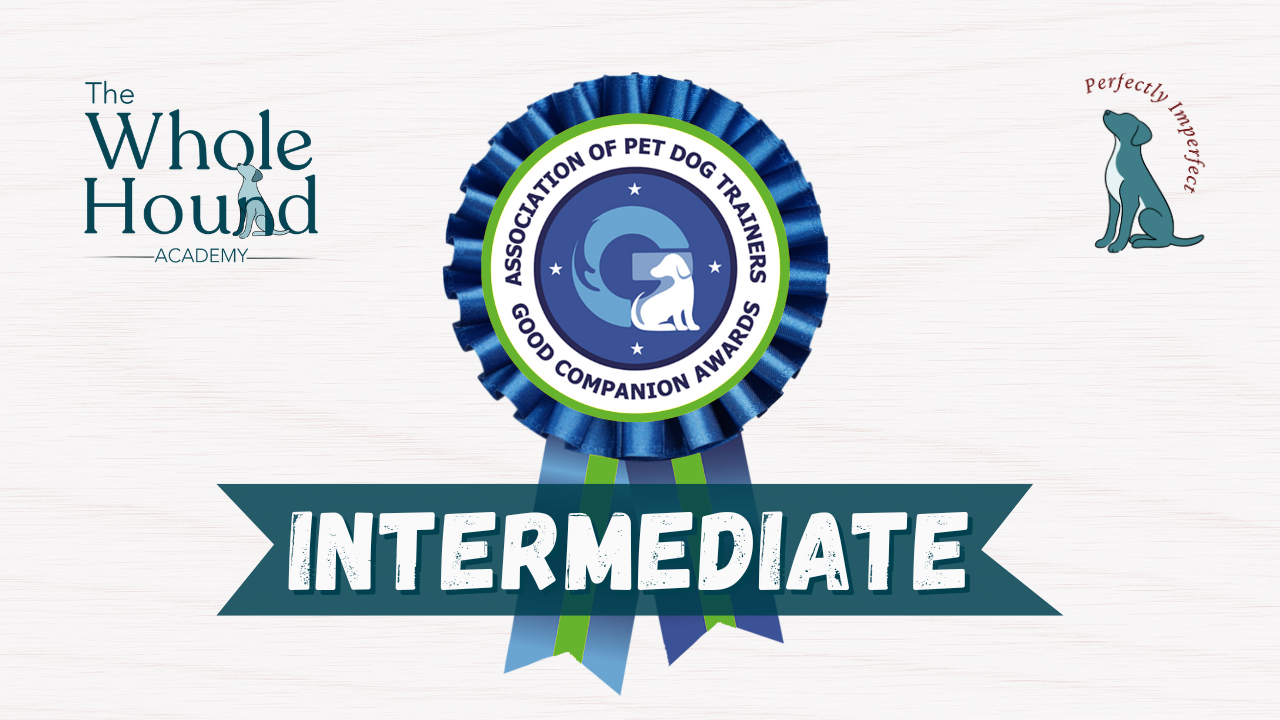 Intermediate Good Companion Award by Association of Pet Dog Trainers