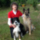 Carole Thornley Assessor Bio Pic