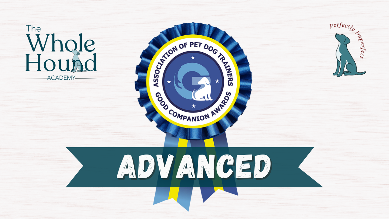 Advanced training award for The Whole Hound Academy