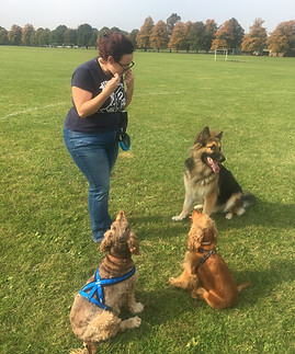 Kat training dogs in a local London park