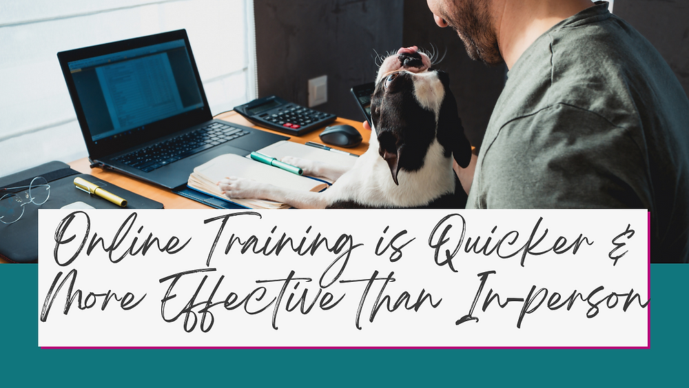 Why online dog training is quicker and more effective than inperson