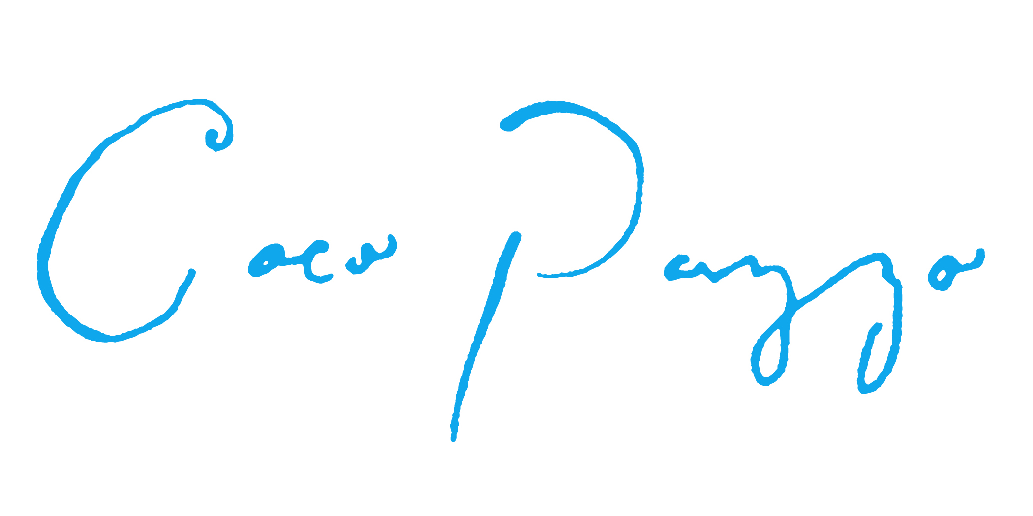 Coco Pazzo - service preview
