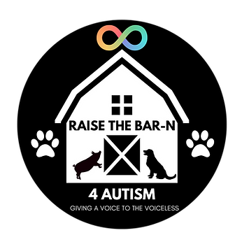 Raise the Bar-N Logo (1).png