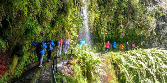 טיול נשים למדירה