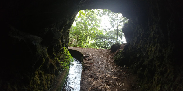 טיול נשים למדירה