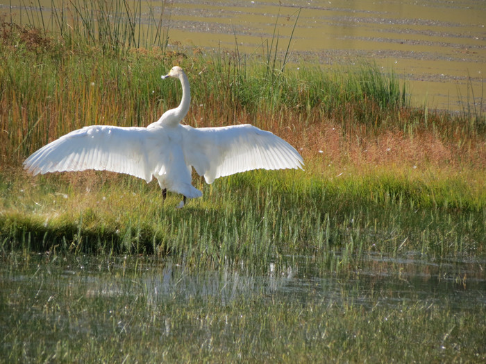 טיול נשים למונגוליה