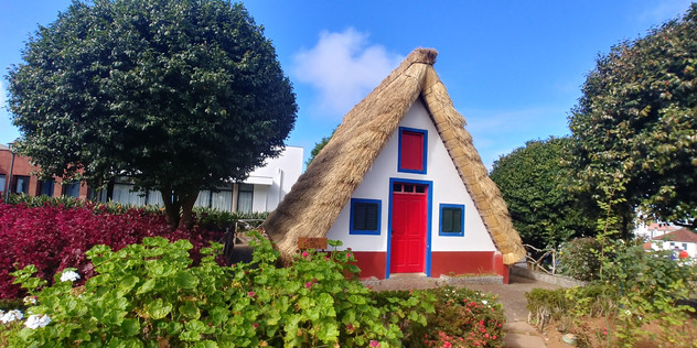 טיול נשים למדירה