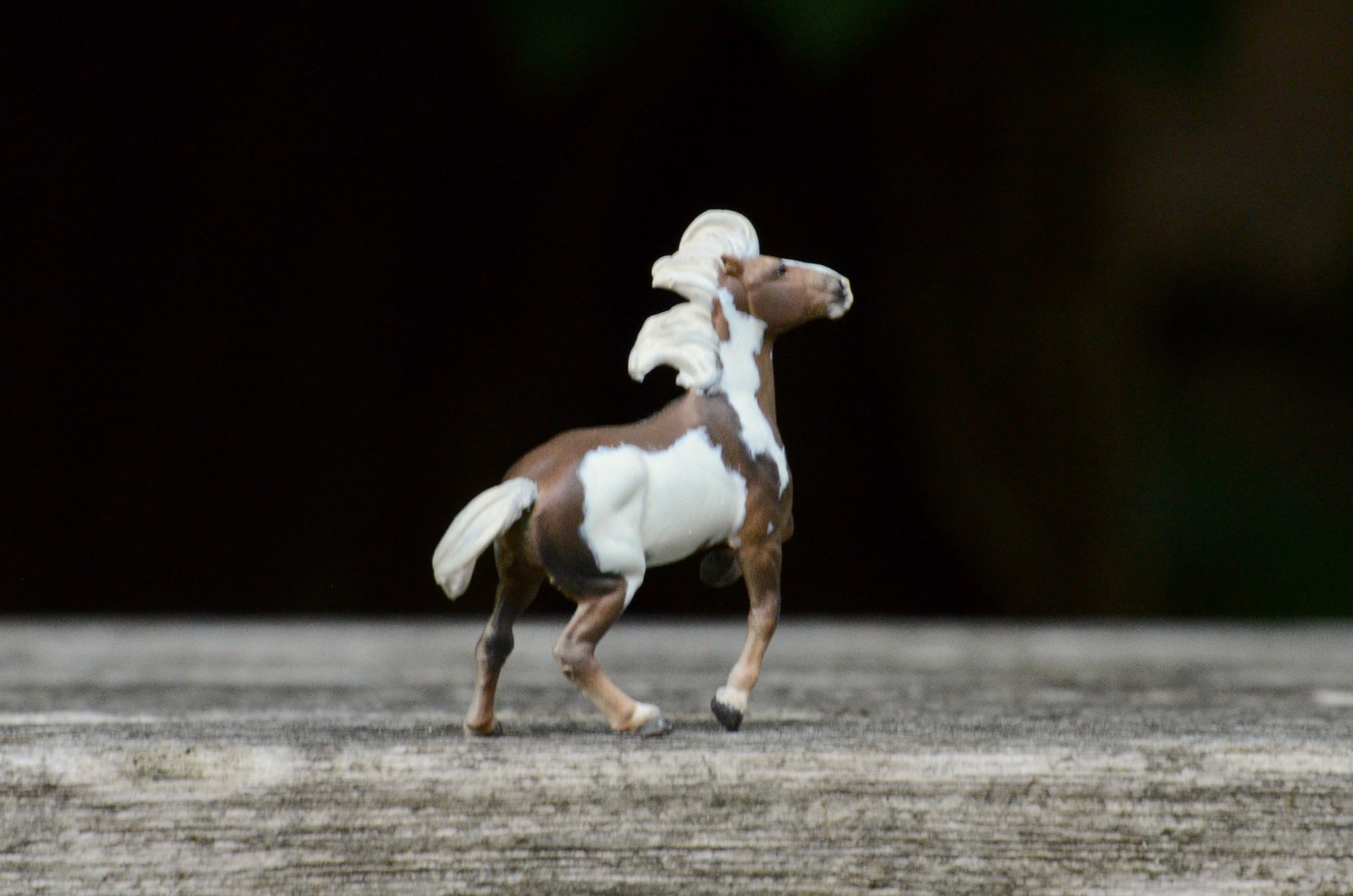 Silver Bay Overo MM 429