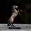 Thumbnail: Sooty Buckskin MM Terora