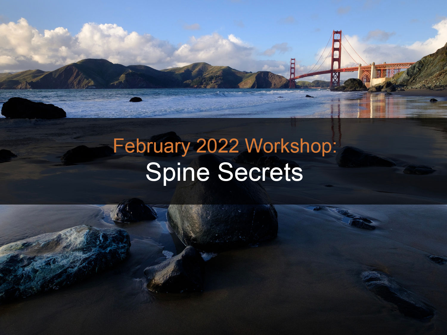 Spine Secrets Workshop Recording