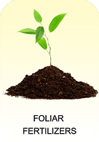 FOLIAR FERTILIZERS_edited.png