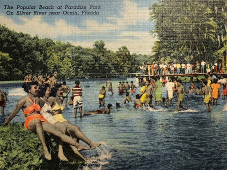 Paradise Park