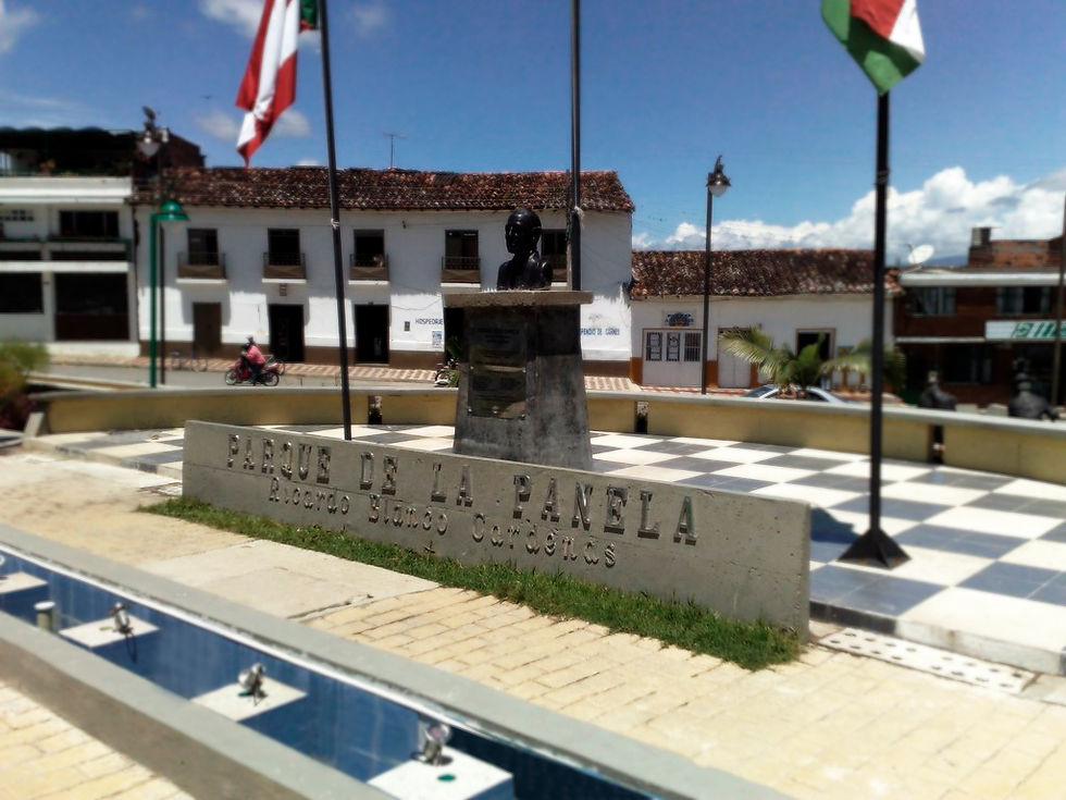 PARQUE DE LA PANELA - SANTANA BOY