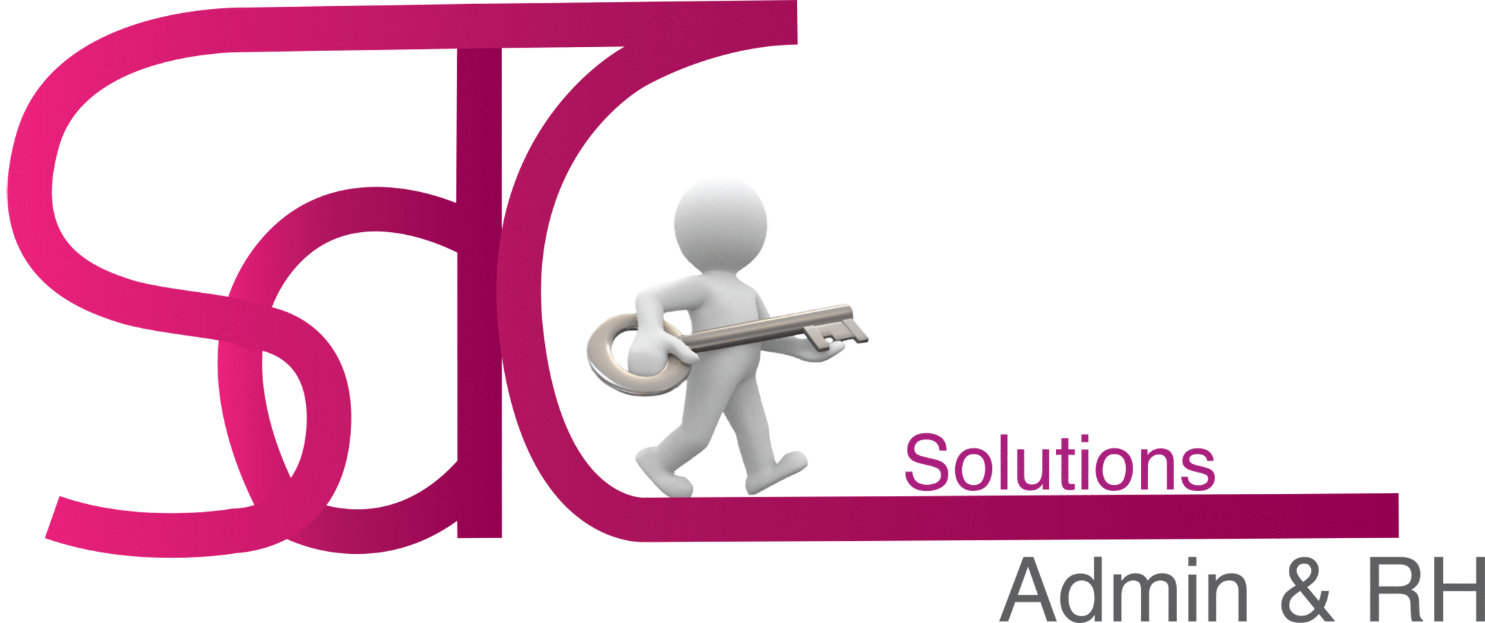 SDCSolutions_Logo fond noir pour impression2.gif