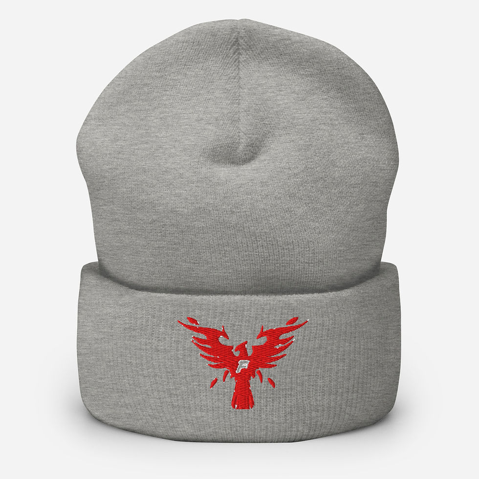 Thumbnail: Phoenix Phly Cuffed Beanie