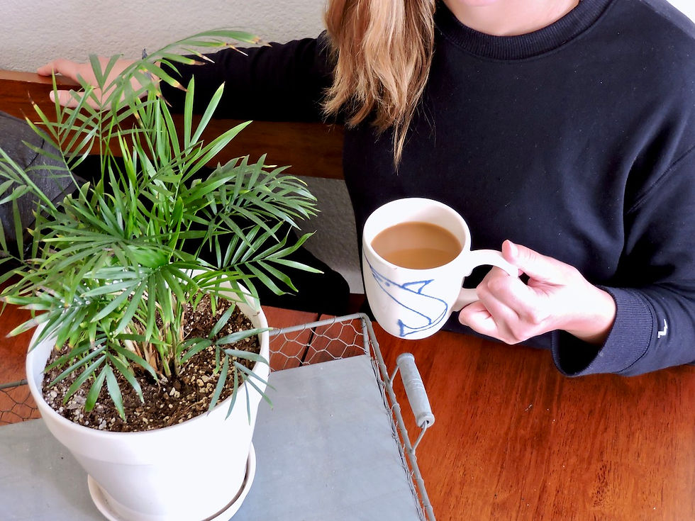 Thumbnail: Saudade Coffee: The Portimão