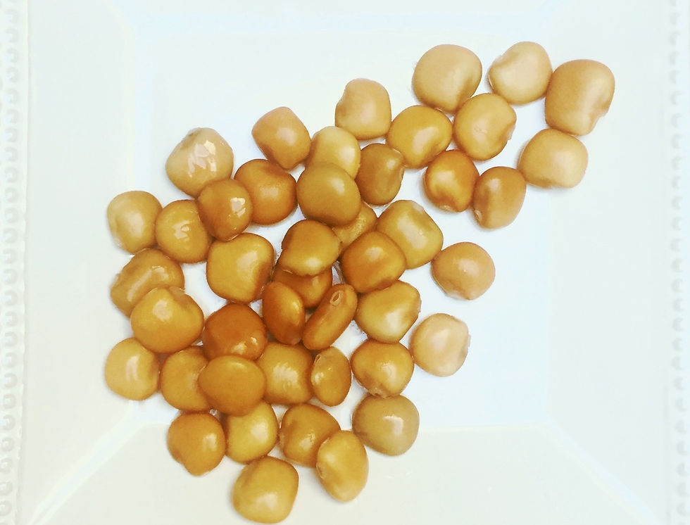 Lupini Beans