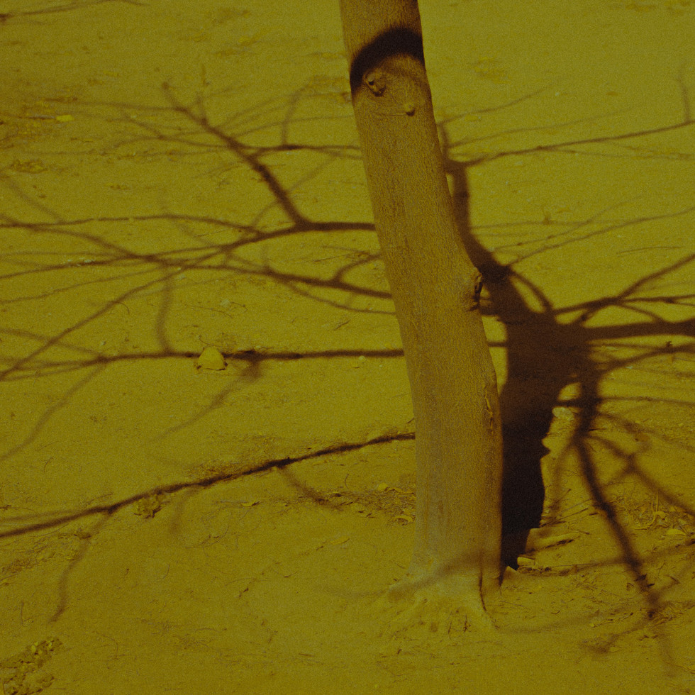 DSC_4111.jpg