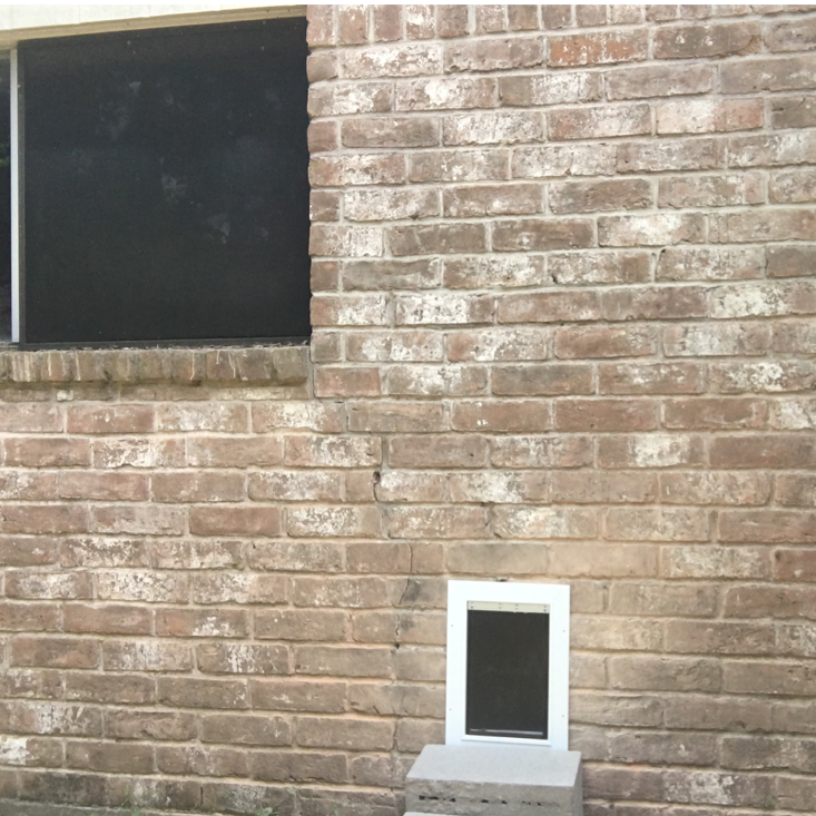 Doggie Door Project
