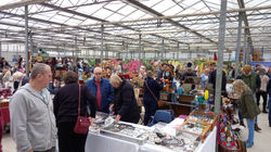 IMG-20211016-WA0010