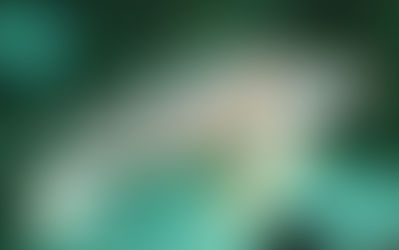 Terceiro dia em Salvador