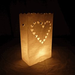 Lovely Luminaries, A Walk in the Woods