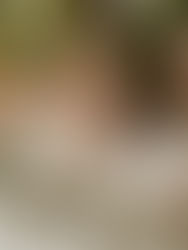 Bouquets, the Perfect Accessory!