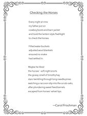 Â Checking the Horses