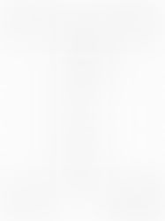 Jugglers in the Park